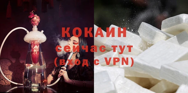 кокс Алексин