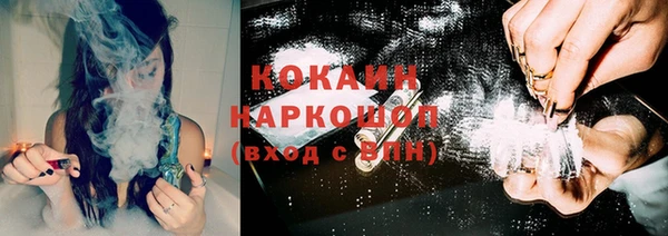 кокс Алексин