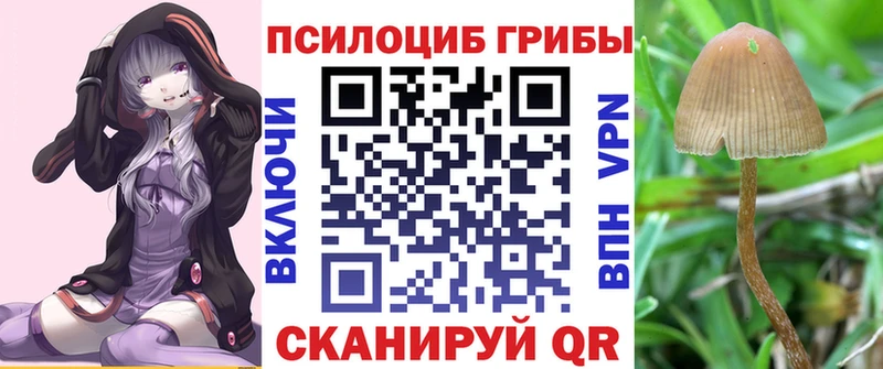 Галлюциногенные грибы GOLDEN TEACHER  Уссурийск 